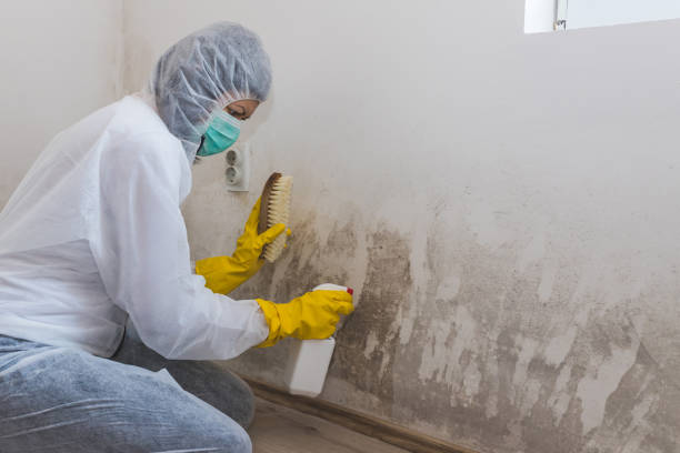 Best Industrial Mold Remediation in Livingston, CA